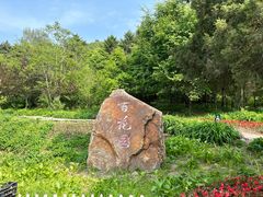 -望溪公园