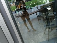-星巴克臻选(上海长风大悦城店)