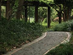 -徐家汇源景区-衡山公园