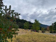 -塔川景区