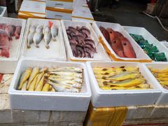 -王四营海鲜市场