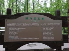 -东平国家森林公园
