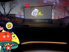 -枫花园汽车电影院(朝阳公园店)