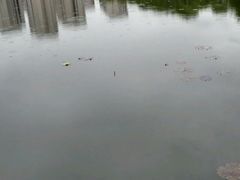-新江湾城公园