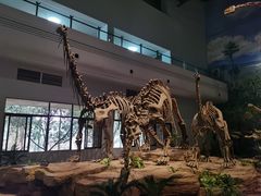 -自贡恐龙博物馆