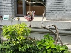 -庐灶江南·江南菜·四合院Bistro(东直门雍和宫·原华侨宾馆店)