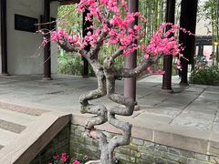 -成都杜甫草堂博物馆