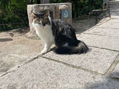 -北京凤凰岭