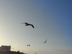 -蓬莱阁景区