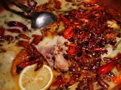 -佬麻雀·剁椒鱼头(京基KK One店)