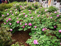 -陕西师范大学(雁塔校区)
