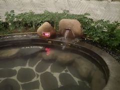 -凤翔首邑温泉度假村