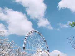 -顾村公园