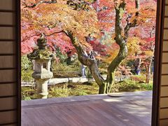 -常寂光寺
