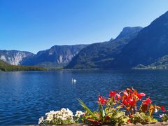 -布劳伽斯特豪夫哈尔施塔特宾馆