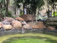 -融汇温泉