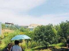 -白鹿原影视城