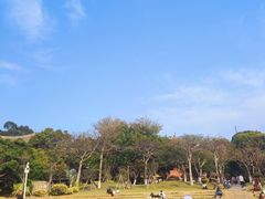 -厦门大学(思明校区)