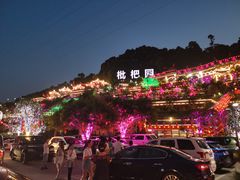 -枇杷园食为鲜火锅(南山店)