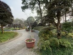 -南山植物园