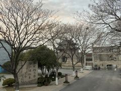 -观潮胜地公园