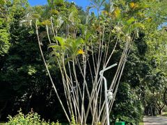 -人民公园(罗湖区)