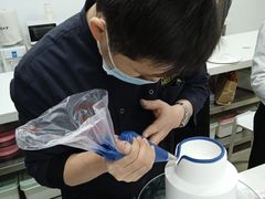 -美斯烘焙培训学院•蛋糕•面包•咖啡(宝安校区)