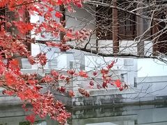 -秋霞圃
