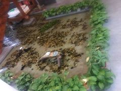 -桃苑居阳澄湖·蟹千恩(美人腿店)