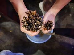 -水碾河刘老大串串香(水碾河路店)