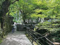 -三千院