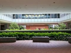 -香港大学