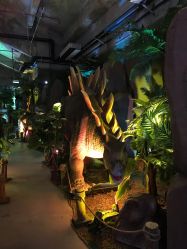 -恐龙探索乐园(磁器口店)