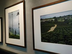-星巴克臻选(苏州久光百货店)