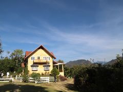 -黄色小屋