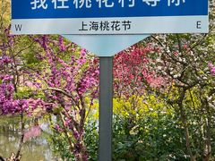 -南汇桃花村