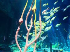 -沈阳海洋探索中心