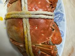 -黄记大闸蟹专卖店·活蟹·醉蟹