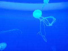 -多彩贵州城极地海洋世界