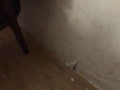 -剧狐剧本杀·月球探案馆(人民广场1号店)