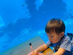 -涛·海底餐厅·美人鱼·自助餐·海底隧道(三亚海棠湾洲际度假酒店)