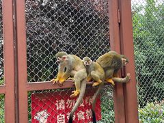 -乐和乐都主题乐园