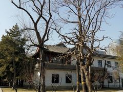 -团结湖公园