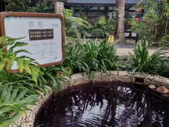 -嘉和K6温泉微度假