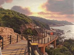 -广东惠东海龟国家级自然保护区
