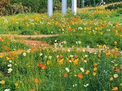 -名花谷生态庄园