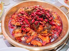 炝锅草鱼-涿派·炝锅鱼(涿州店)