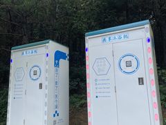 -重庆睡佛山森林公园