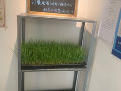 -朵朵开素食餐厅(后宰门街店)