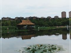 -前关湿地公园